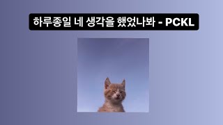 피클 (PCKL) - 하루종일 네 생각을 했었나봐 (DEMO)