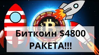 Биткоин $4800 РАКЕТА. Ордер на $80000000. VK coin