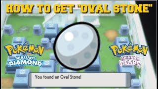 HOW TO GET "OVAL STONE" IN POKEMON BRILLIANT DIAMOND AND SHINING PEARL (OVAL STONE LOCATION)