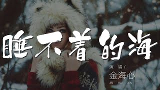 睡不着的海 - 金海心『真的愛你 什麼都可能困住你』【動態歌詞Lyrics】