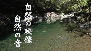 【自然の映像・自然の音】静かな水面。幻想的な碧。 #四万十川 支流　[ Nature images / sounds ]