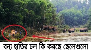 মাছ শিকারে যাওয়ার পথে আচমকা বন্য হাতির দল | Wild elephant suddenly appeared while going for fishing