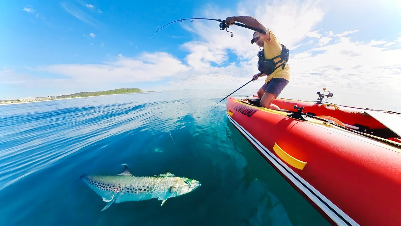 Catching A Mackerel And Taking It To Restaurant To Cook - CATCH AND ...