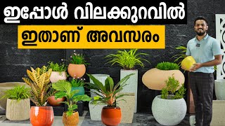 FANCY POTS WHOLESALE | വീട് മനോഹരമാക്കാം വിലക്കുറവില്‍ |GFRC HOME DECOR IDEAS #fancypots