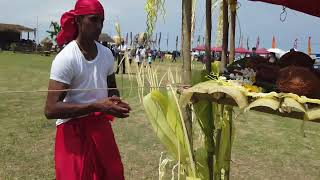 Cultural Games of Sri Lanka - Porapol gaheema (Coconut Fighting) and AN KELIYA (Hook Tugging)