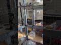 bird room for breeding african waxbill finches 90% done