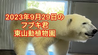 ２０２３年９月２９日のフブキ君　東山動植物園