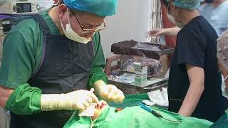 Korean medical / Plastic surgeons#Savar Filaria and General Hospital