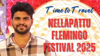 నేలపట్టు ఫ్లెమింగో పండుగ 2025 Nelapattu Flemingo festival 2025 Sullurpeta