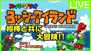 【生配信】目指せオール100点満点！相棒と共に連れ去られた弟を救いに大冒険！【ヨッシーアイランド】#04