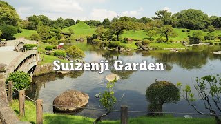 Suizenji Garden, Kumamoto / 水前寺成趣園 熊本