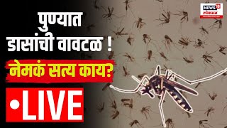 Pune Mosquito LIVE : पुण्यात डासांची वावटळ...!!! नेमकं सत्य काय? लाईव्ह