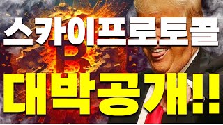 [스카이프로토콜 코인]단돈 10만원이 1억으로?! 코인 대박의 비밀 공개!