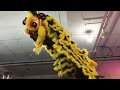 马来西亚柔佛沙威文青龙狮团 malaysia wen ching lion dance high poles performance at sheng lian gong 7 aug 2023