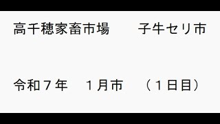 高千穂家畜市場子牛セリ市