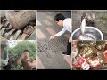 Interesting Videos Compilation Trending/Viral