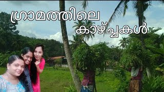 Viewes Of The Village/ ഗ്രാമത്തിലെ ചെറിയ ചെറിയ കാഴ്ച്ചകൾ/ KaShVi VloG/