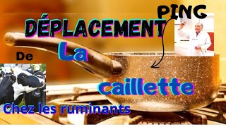 Déplacement de la Caillette ( ABOMASUM);  Les VOLVULUS , et le PING