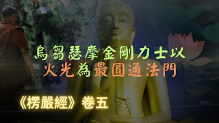 【楞嚴經】烏芻瑟摩金剛力士觀自己身內火，化淫心成智慧火，以火光三昧力成阿羅漢｜楞嚴經｜宣化上人｜佛子