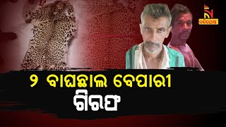 Two Arrested In Deogarh During Leopard Skin Smuggling | NandighoshaTV