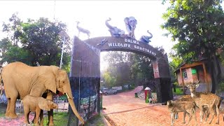 Dalma Wild Life Sanctuary Jamshedpur || दलमा वन्य जीव अभयारण्य जमशेदपुर #jharkhand #vlog