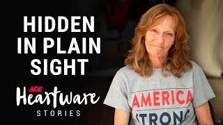Hidden In Plain Sight Ace Heartware Stories