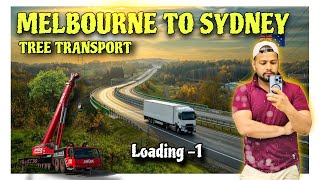 Melbourne Yo Sydney Tree 🌴 Transport by TRUCK  Part-1 English