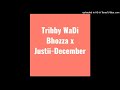 Tribby WaDi Bhozza x Justii-December (Original Audio)