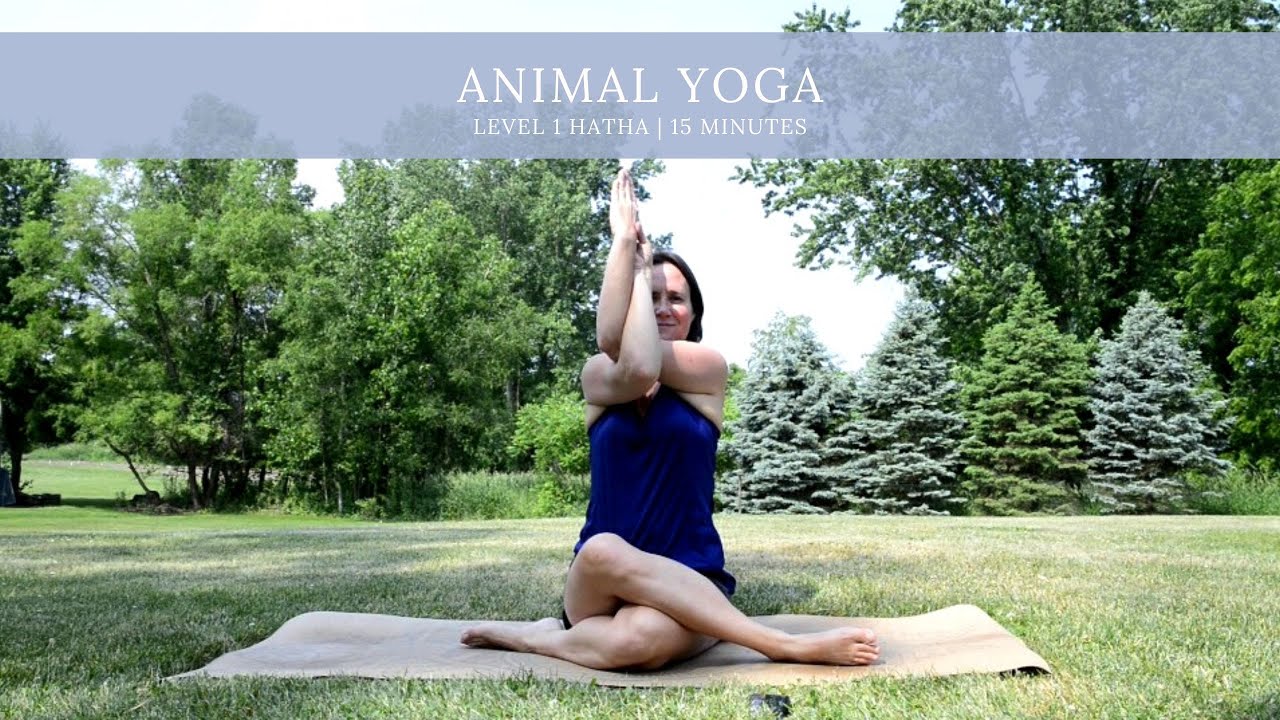 Animal Yoga Youtube