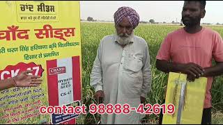 Moga Punjab Village dhurkot charat Singh wala farmer Jodha sarpanch