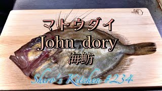 マトウダイ  #234  John dory  海鲂