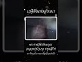 เกจิดังแห่งล้านนา หลวงปู่บัวเกตุ ปทุมสิโร