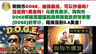 狗狗币DOGE，继续暴涨，可以抄底吗？会涨到1美金吗？马斯克表示，狗狗币DOGE将被美国国税局将接受政府效率部(DOGE)的审计，短线涨到0.6美金，马斯克狗狗币|DOGE行情分析!