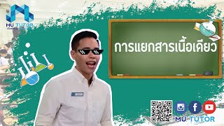 การแยกสารเนื้อเดียว #สาร #การจำแนกสาร #ชนิดของสาร #ประเภทของสาร #วิทยาศาสตร์ เคมี #MU TUTOR  #Online