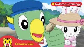 Shimajiro | Pendidikan Anak | Berburu Kerang di Pantai Ep.18.1 - Kodomo Challenge