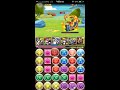 パズドラ アングリーバードエピックコラボ 激辛 ヨミアヌpt sランク