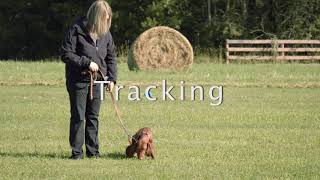 The fundamentals of Tracking with Noel Pepin Canine