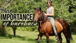 5 Tips to Improve Your Bareback Riding