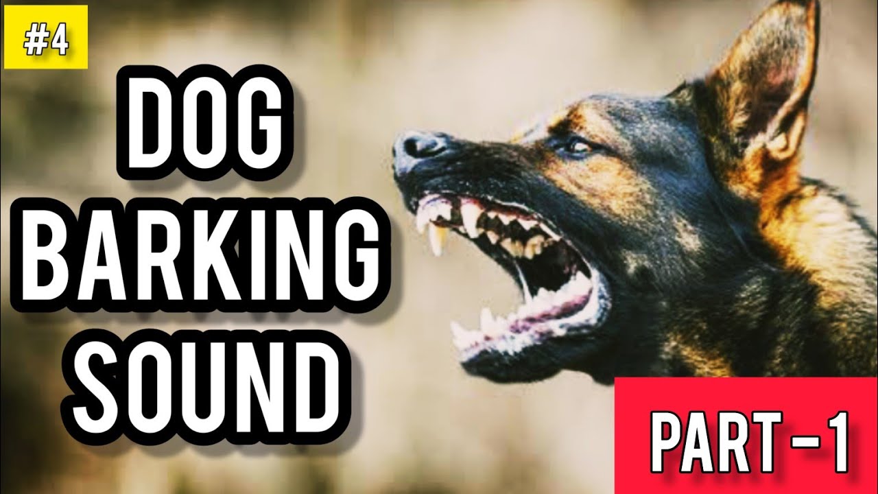 Dog Barking Sound Effect | Dog Barking Sound - 4 | Free Sound Effects ...