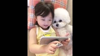 Funny Babies Playing with Dogs Compilation - Funny Baby and Pets || Cool Peachy