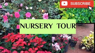 నేను రెగ్యులర్ గా మొక్కలు కొనే నర్సరీ ఇదే #nursery #terracegarden #plants #trendingvideo #gardening