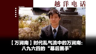 越洋电话：“抗争者” -「万润南」时代乱气流中的万润南（下）