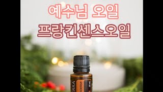 아기예수께 선물한 오일? 도테라 프랑킨센스 에센셜오일, 닥터프랑킨센스 오일활용법, 보스웰리아의 효능, 프랑킨센스사용 손쉬운 예센셜오일 사용법 일상에서 오일사용하기 노케미라이프