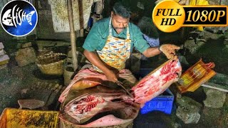 Kasimedu Selvam🔪🔥Fire Speed 14 Kg Big Ray Fish Chopped Skills🔪KF FISH CUTS