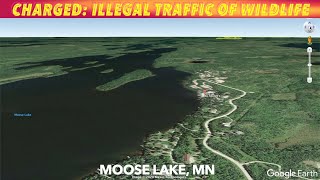 MN Resort Owners Charged With Selling Illegal Bait