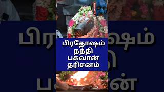 pradosham Nandi | பிரதோஷம் நந்தி தரிசனம்.. Arakandanallur.. #sivan #pradosham