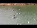 Final K2 fem sub 21 200 mts