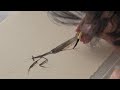 Chinese Insects Painting - Mantis