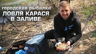 Городская рыбалка Часть 3: Ловля карася в заливе