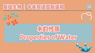 【中英双语国际课堂-基础生物】水有哪些物理性质？为什么生命离不开水？ |  Properties of Water \u0026 How It Supports Life